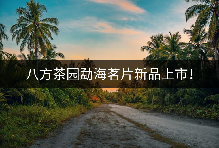 八方茶園勐海茗片新品上市！