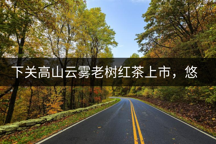 下關(guān)高山云霧老樹(shù)紅茶上市，悠悠春茶香