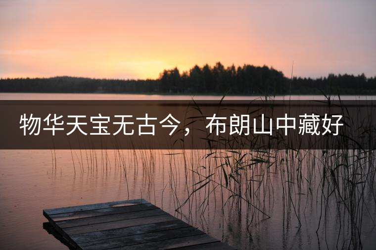 物華天寶無古今，布朗山中藏好茶