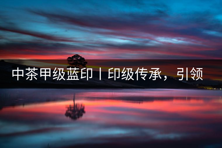 中茶甲級藍印丨印級傳承，引領(lǐng)風韻