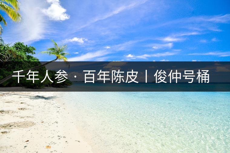 千年人參 · 百年陳皮丨俊仲號桶裝柑普茶豈止于大！