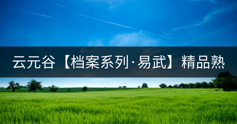 云元谷【檔案系列·易武】精品熟茶，精裝上市！