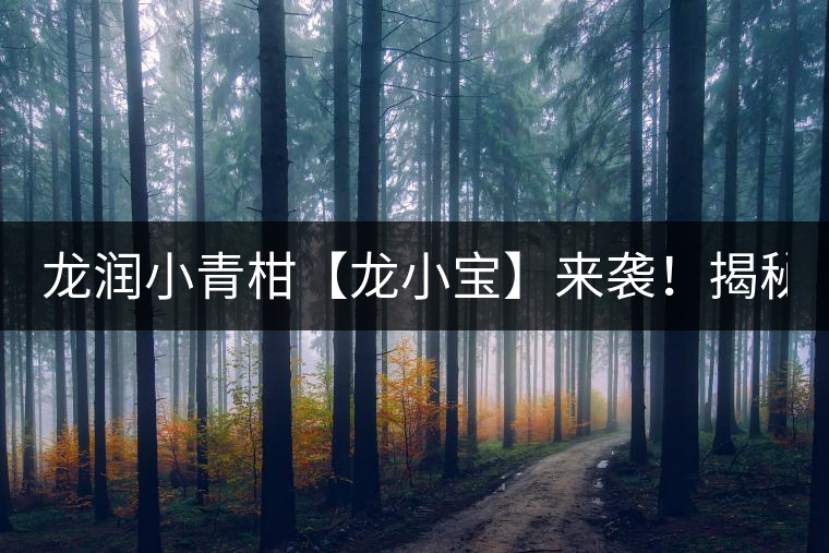 龍潤小青柑【龍小寶】來襲！揭秘它的前半生！