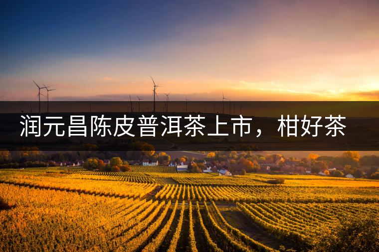 潤(rùn)元昌陳皮普洱茶上市，柑好茶更好，精品普洱茶