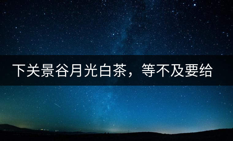下關(guān)景谷月光白茶，等不及要給你的思念