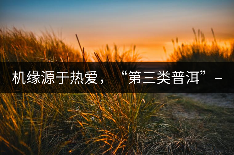 機(jī)緣源于熱愛，“第三類普洱”——“散壓茶TM”的誕生。