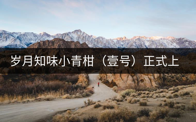 歲月知味小青柑(壹號)正式上市 歲月知味小青柑(壹號)正式上市