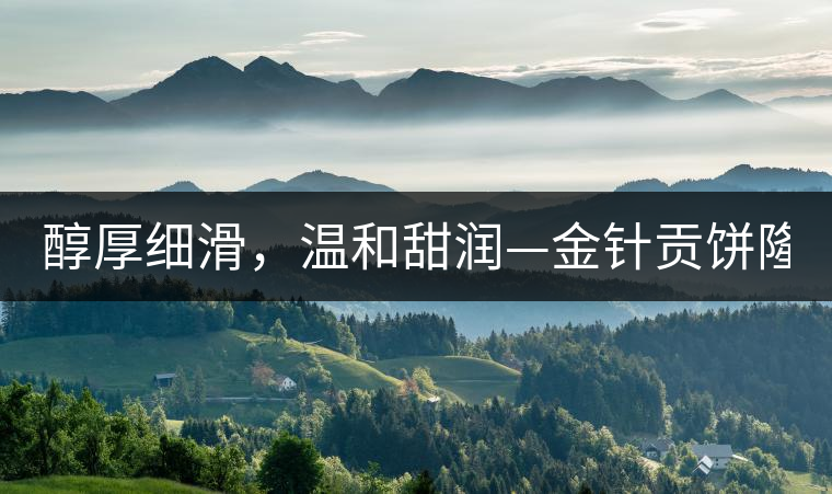 醇厚細滑，溫和甜潤—金針貢餅隆重上市！