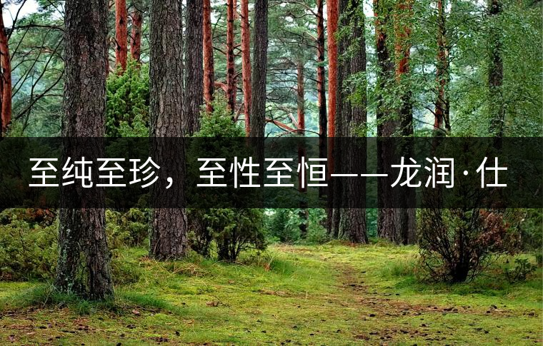 至純至珍，至性至恒——龍潤(rùn)·仕通茶新上市！