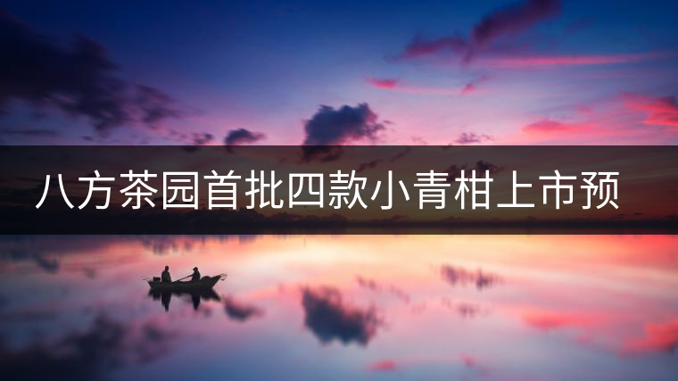 八方茶園首批四款小青柑上市預告