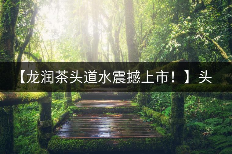 【龍潤茶頭道水震撼上市！】頭道水，二道茶，三道四道是精華！