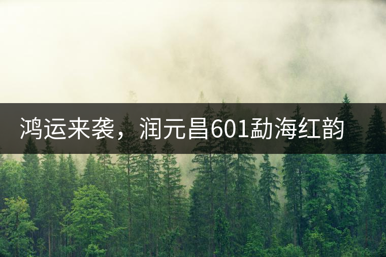 鴻運(yùn)來襲，潤元昌601勐海紅韻熟茶即將上市