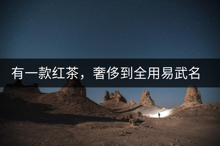 有一款紅茶，奢侈到全用易武名寨古樹茶發(fā)酵！