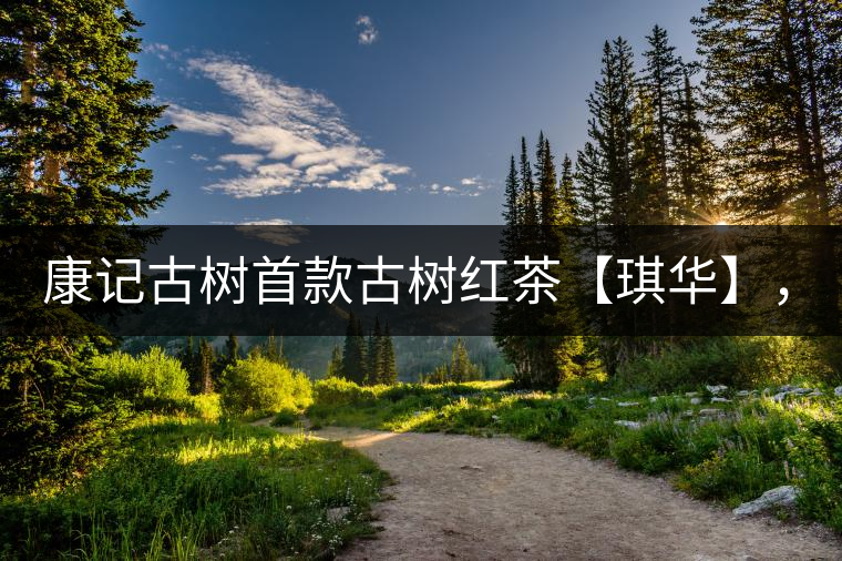 康記古樹(shù)首款古樹(shù)紅茶【琪華】，溫情上市！