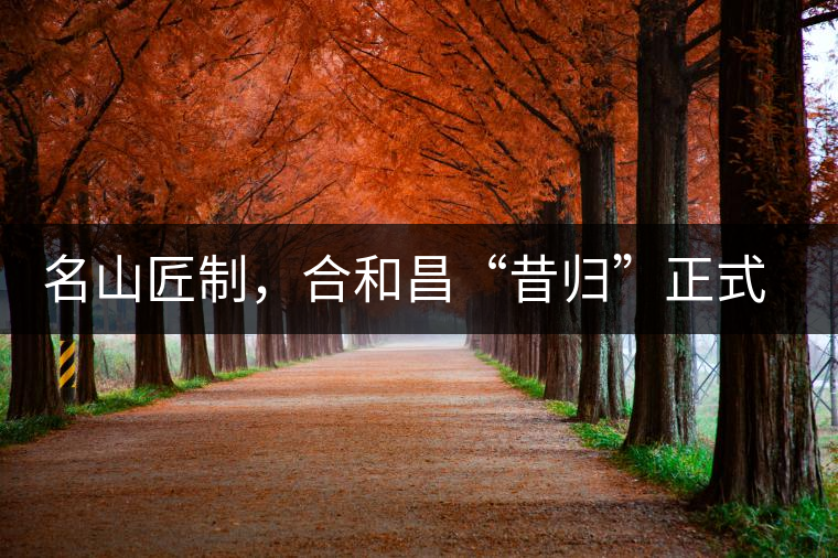 名山匠制，合和昌“昔歸”正式上市