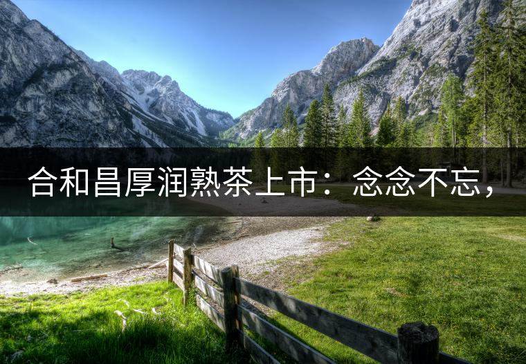 合和昌厚潤熟茶上市：念念不忘，必有回響！