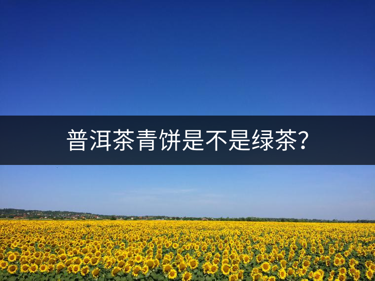 普洱茶青餅是不是綠茶？
