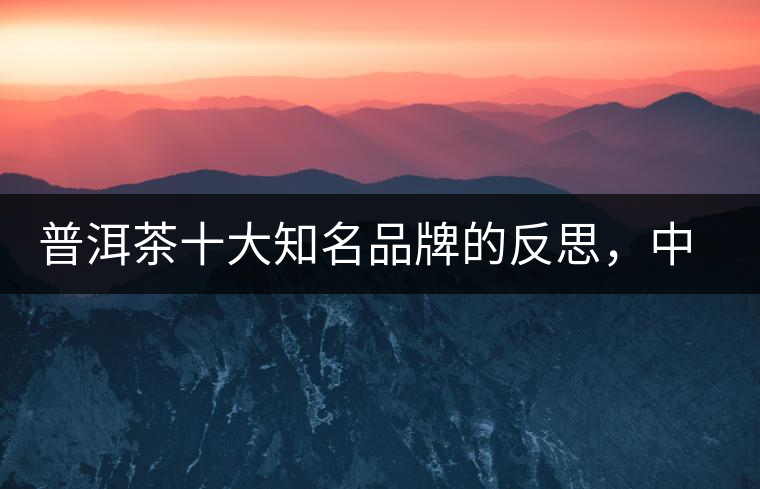 普洱茶十大知名品牌的反思，中國(guó)有沒(méi)有真正的普洱茶高端品牌？