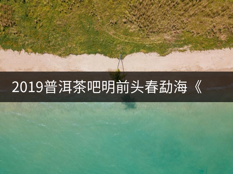 2019普洱茶吧明前頭春勐?！对鹿獍住钒撞鑳?yōu)惠訂購(gòu)