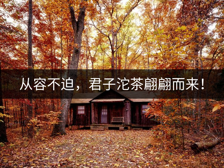 從容不迫，君子沱茶翩翩而來！