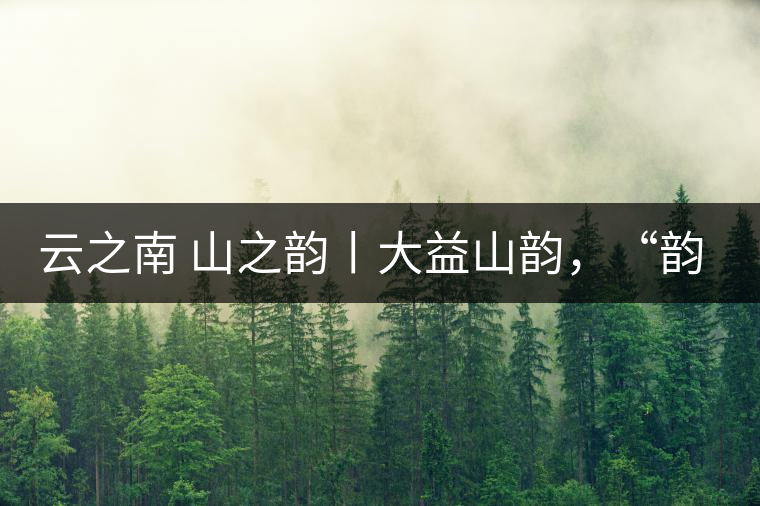 云之南 山之韻丨大益山韻，“韻”味傳奇之山韻歸來