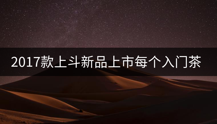 2017款上斗新品上市每個(gè)入門(mén)茶人都欠自己一餅上斗！