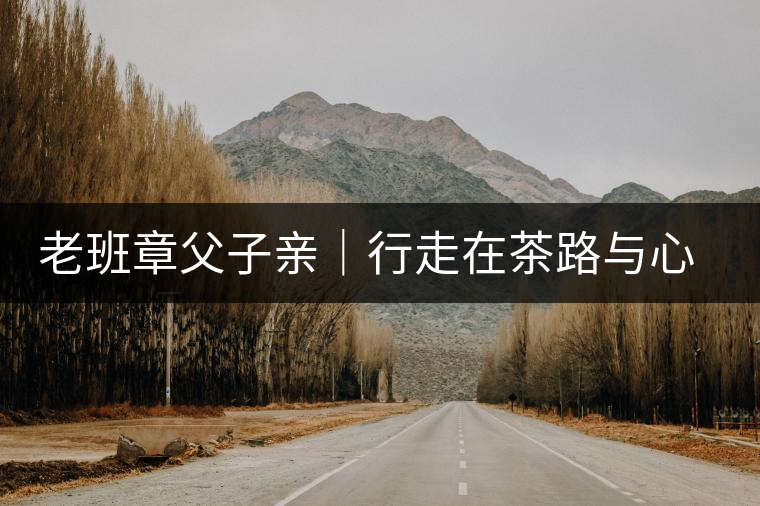 老班章父子親｜行走在茶路與心路上，訴說(shuō)濃濃父子情