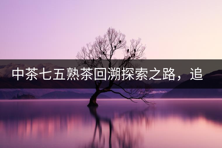 中茶七五熟茶回溯探索之路，追尋歷史印跡