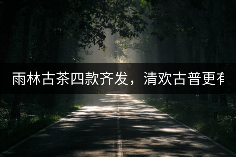 雨林古茶四款齊發(fā)，清歡古普更有味！