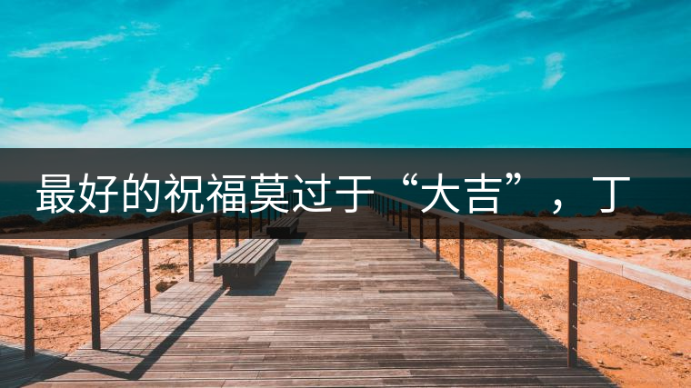 最好的祝福莫過于“大吉”，丁酉年生肖餅震撼來襲！