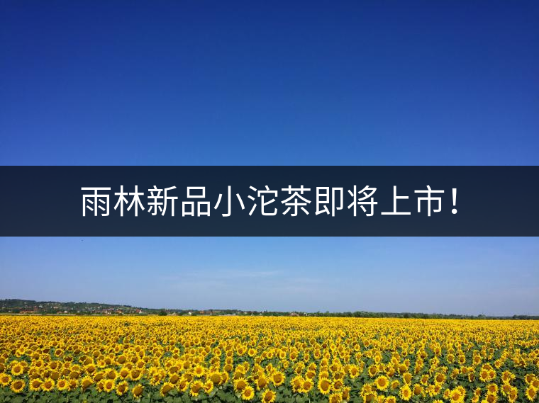 雨林新品小沱茶即將上市！