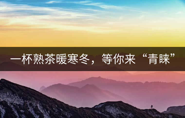 一杯熟茶暖寒冬，等你來“青睞”