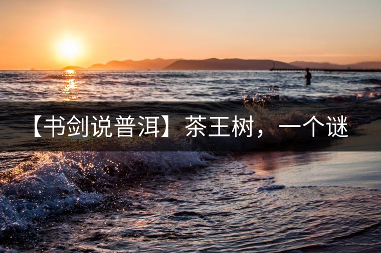 【書(shū)劍說(shuō)普洱】茶王樹(shù)，一個(gè)謎一樣的地方