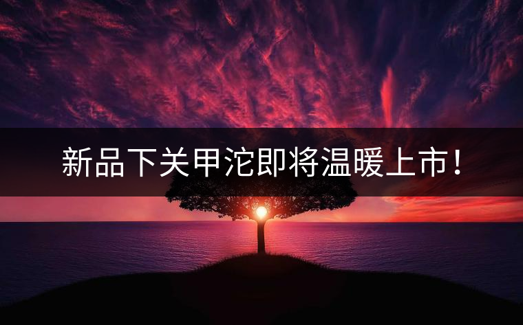 新品下關(guān)甲沱即將溫暖上市！