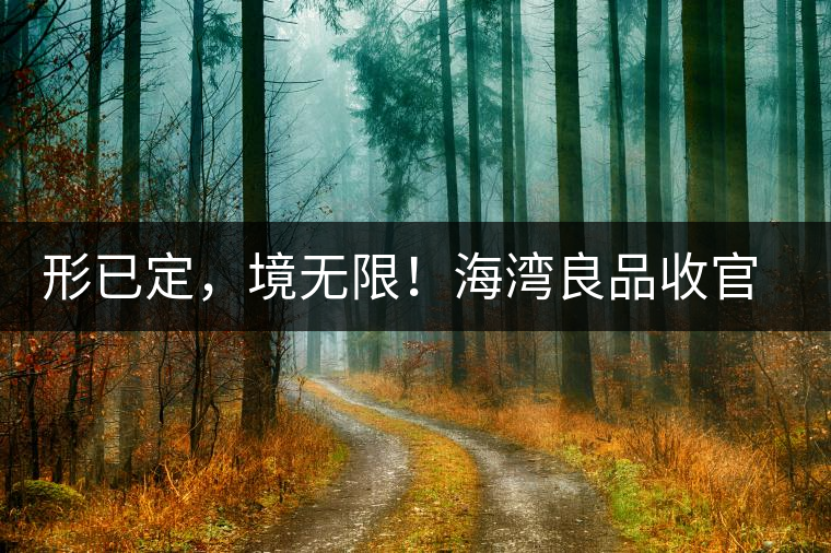 形已定，境無(wú)限！海灣良品收官季『良禪品』