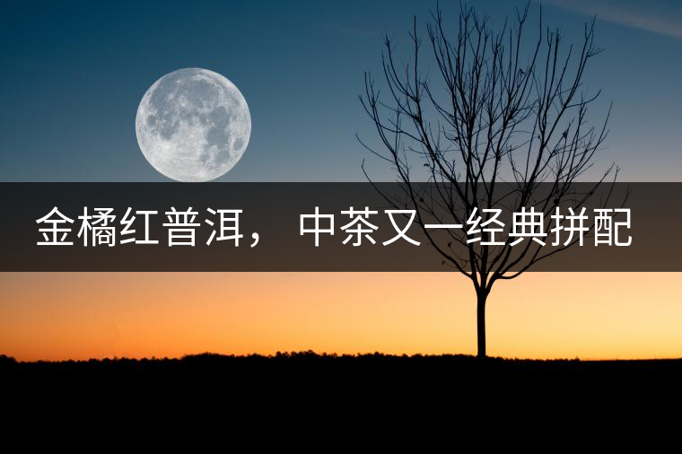 金橘紅普洱， 中茶又一經(jīng)典拼配力作，值得期待！