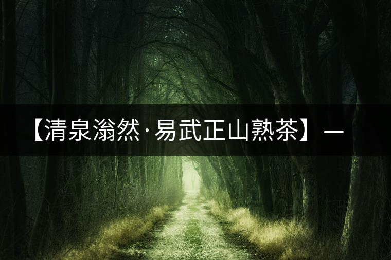 【清泉滃然·易武正山熟茶】——熨帖冬季的寒冷，來(lái)的正是時(shí)候！