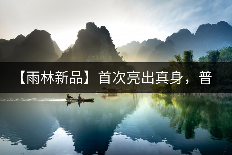 【雨林新品】首次亮出真身，普洱茶史上第一件新班章！