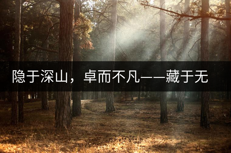 隱于深山，卓而不凡——藏于無量余脈的困鹿貢香