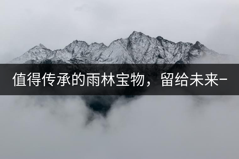 值得傳承的雨林寶物，留給未來(lái)一點(diǎn)“回甘”！