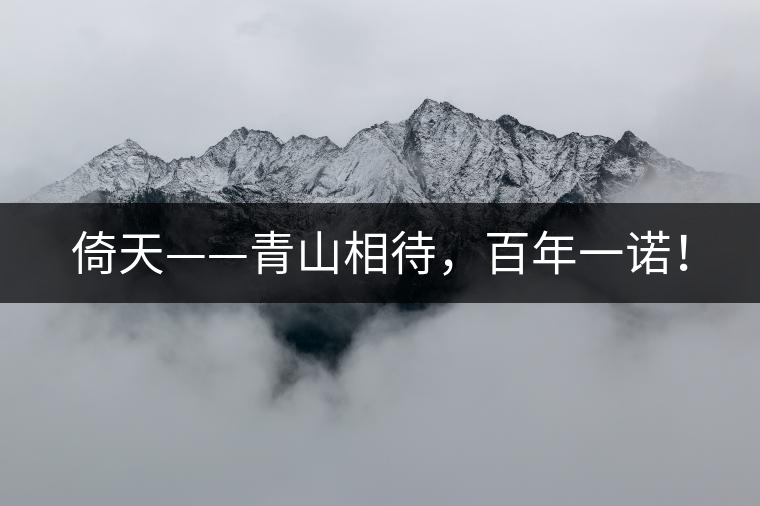 倚天——青山相待，百年一諾！