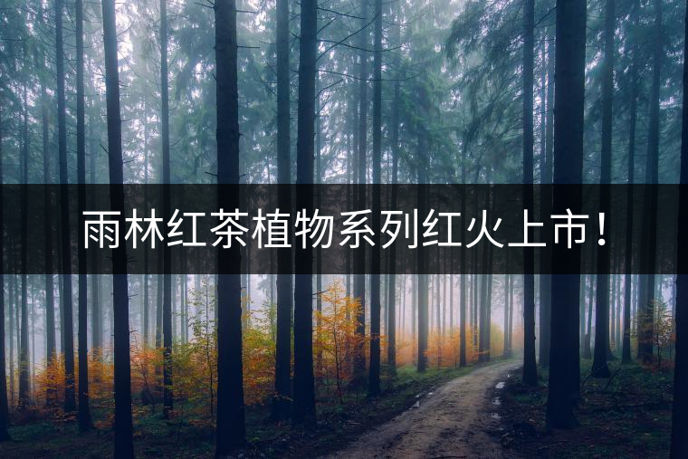 雨林紅茶植物系列紅火上市！