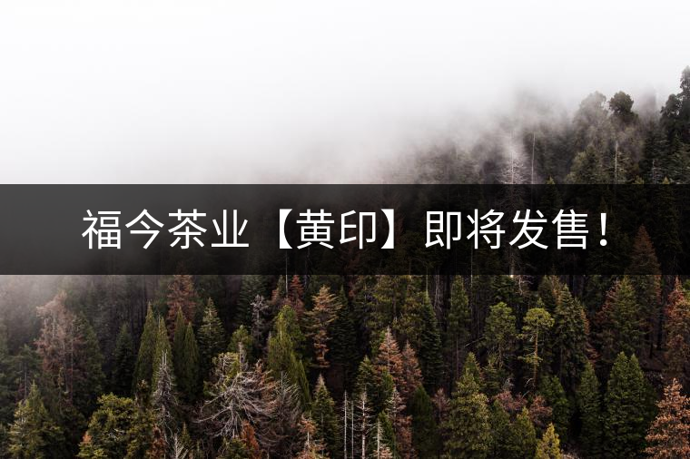 福今茶業(yè)【黃印】即將發(fā)售！