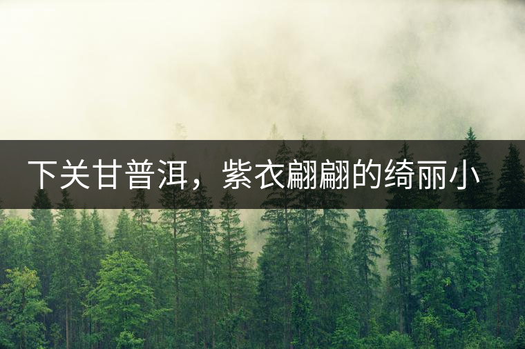 下關(guān)甘普洱，紫衣翩翩的綺麗小餅