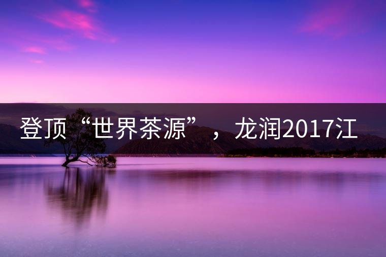 登頂“世界茶源”，龍潤2017江城茶上市啦！