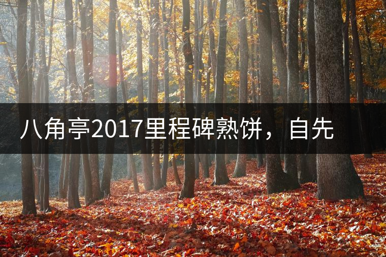 八角亭2017里程碑熟餅，自先發(fā)酵而后愛人