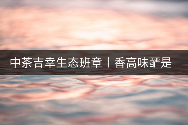 中茶吉幸生態(tài)班章丨香高味釅是王者，且品且珍惜