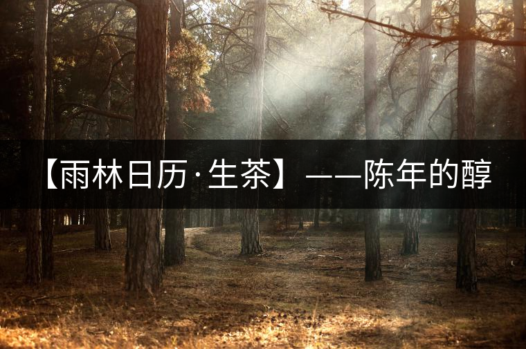 【雨林日歷·生茶】——陳年的醇，老料的香！