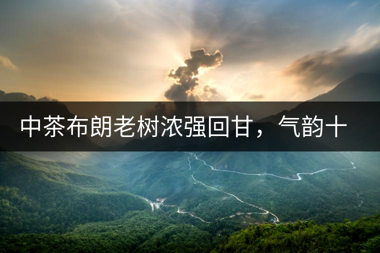 中茶布朗老樹濃強回甘，氣韻十足