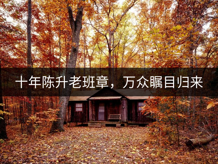 十年陳升老班章，萬眾矚目歸來